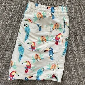Chubbies Swim Trunks